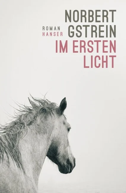 Norbert Gstrein - Im ersten Licht